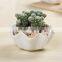 Creative zakka white ceramic indoor planters for succulents