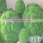 Q0908005 garden decoration topiary China wholesale green artificial moss balls