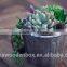 Mini custom wooden barrel flower pots
