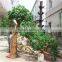 SJ20171884 factory ornamental foliage japanese trees and plants