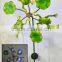 Garden Decoration Solar Led Light Wind Spinner by Solar Power for Out door Garden Stake