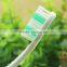 Disposable personalized toothpaste material for adult made in China