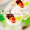 Soft Powder Ice Cream