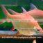 Albino Red Tail Tinfoil Barb Fish / Thailand Tropical Fish Exporter