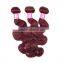 Wholesale 3 Bundles Red Colored Brazilian Hair Weave Fast Shipping
