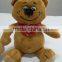 High quality Small MOQ smiling mini plush bear toys
