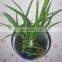 Small cheap plastic wall mounted vase