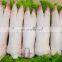 Pig feet hair cleaning Machine