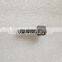 High quality common rail  fuel injector P type nozzle L163PBD