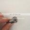 Top quality Diesel fuel Injector Nozzle P type Nozzle DSLA145P464