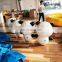 Cute PVC Indoor Advertising  Inflatable Small Panda Cartoon Model For Event Evening Party