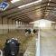 China low cost prefabricated light steel cow farming shed structure building