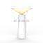 Dimmable Hotel Dinner Table Brightness Adjustable Table LED Desk Lamp