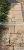 Chinese Xinfengrui Factory Direct Sale Plate Cut To size natural beige Sandstone for outdoor walkway paving