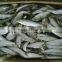 Frozen Sardine from Chinese Manufacture
