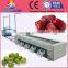 fruit grading machine/vegetable sorter/graded by size fruit grade machine