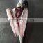 Frozen mahi mahi Whole round