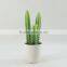 Natural looking artificial plants succulent plants tropical plants