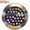 Low Voltage Inground LED Lawn Light