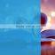 hot sell blue protective film for window PET adhesive film