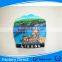 2015 Souvenir Polyresin Fridge Magnet /3D Fridge Magnet
