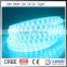Best Led Lighting 12V/24V BLUE Led Strip Light SMD5050 Waterproof IP65 Flexible with CE RoHS certification