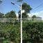 Hot sales effsun 12v solar 21w led street light solar garden light