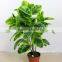 fresh design cheap artificial plants artificial money tree