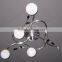 Wholesale Decorative Hanging Modern Ceiling Lamp, Iron Ceiling Light