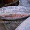 OILFISH OR ESCOLAR HG