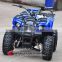 New Style 800W Electric ATV for Sale (EA0804)