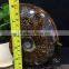 High quality natural ammonite fossils for gifts and decoration
