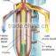Oil centrifuge HOT SALE !!!!