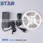 3528 60LED 12V IP65 Waterproof LED Ribbon Light hot sell high quality christmas light led advertising light