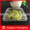 Disposable Clear Plastic 125g Blueberry containers