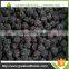 2016 Crop IQF Frozen Blackberry From China