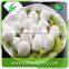 Organic fertilizer fresh quail eggs