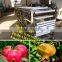 fruit kiwi grading machine /pomegranate sorting machine