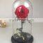 Happy Valentine Glass Dome Preserved Rose Wholesale For Gift