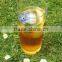 Borage seed Oil supply in bulk