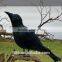 realistic life size artificial crows wholesale lifelike crow decoys