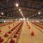 Industrial shed steel structure building design poultry farm shed chicken house for layers