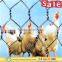 fishing net wire non galvanized chicken wire meshes plastic chicken wire mesh