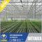 Multi Span Polycarbonate Sheet for Commercial Greenhouse