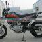 GS250 engine hot selling dirt bike/motorcycle/sports motorbike