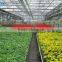 large multi-span PE film green house agriculture & commercial used greenhouse