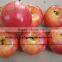 SJZJN 035 Creative Design Aritificial Lemon Tree Made in China High Imitation Tree