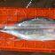 Yellowfin Tuna