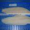 FRESH PANGASIUS FISH OF ALO SEAFOOD Co.,