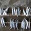 Frozen Pacific Mackerel Fish 200-300G